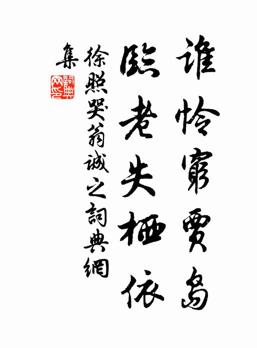 徐照谁怜穷贾岛，临老失栖依书法作品欣赏