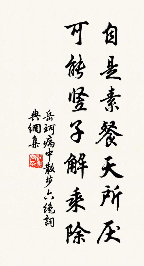 岳珂自是素餐天所厌，可能竖子解乘除书法作品欣赏