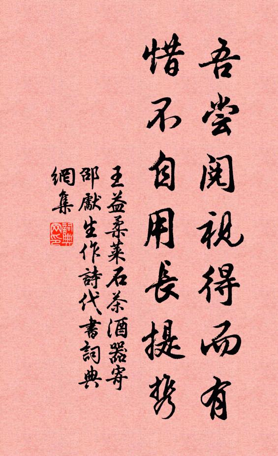 王益柔吾尝阅视得而有，惜不自用长提携书法作品欣赏