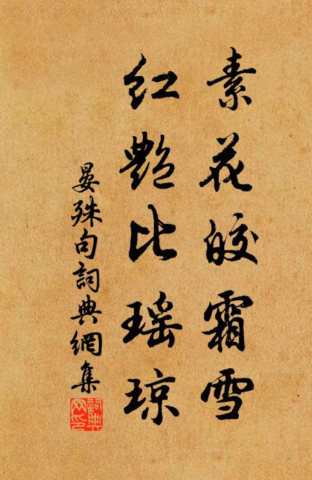 晏殊素花皎霜雪，红艳比瑶琼。书法作品欣赏