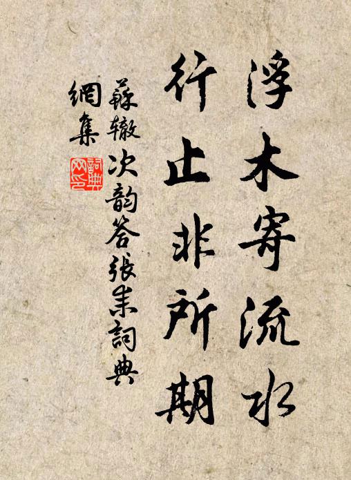 苏辙浮木寄流水，行止非所期书法作品欣赏