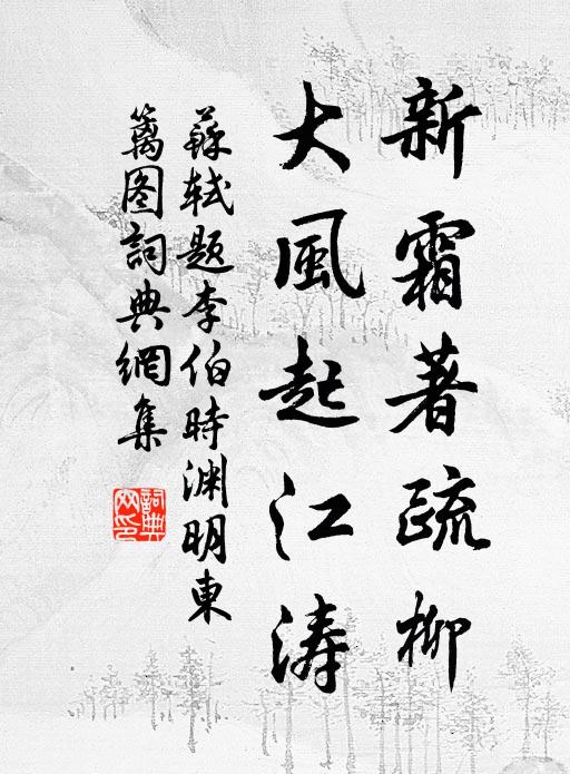 苏轼新霜著疏柳，大风起江涛书法作品欣赏