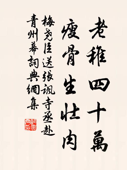 梅尧臣老稚四十万，瘦骨生壮肉书法作品欣赏