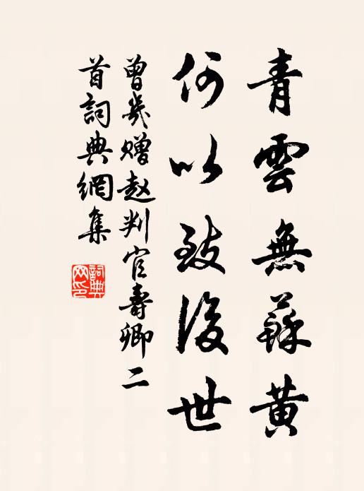 曾几青云无苏黄，何以致后世书法作品欣赏