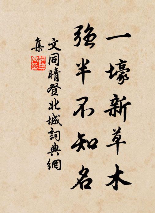 文同一壕新草木，强半不知名书法作品欣赏