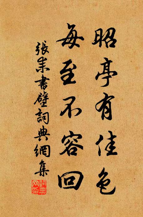 张耒昭亭有佳色，每至不容回书法作品欣赏