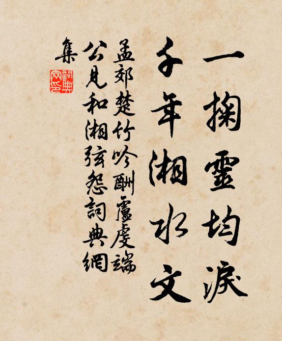 孟郊一掬灵均泪，千年湘水文书法作品欣赏