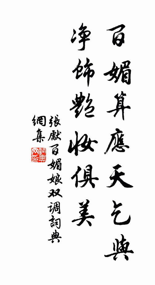 张先百媚算应天乞与，净饰艳妆俱美书法作品欣赏