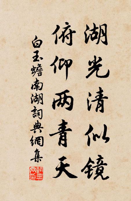白玉蟾湖光清似镜，俯仰两青天书法作品欣赏