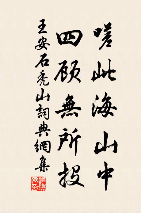 王安石嗟此海山中,四顾无所投书法作品欣赏