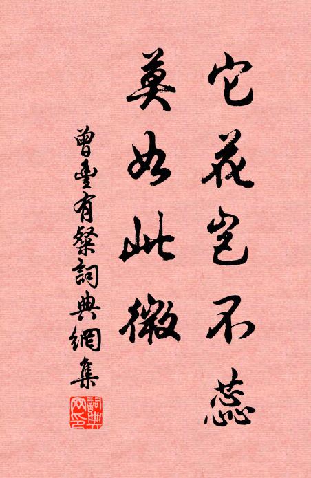 曾丰它花岂不蕊,莫如此微书法作品欣赏