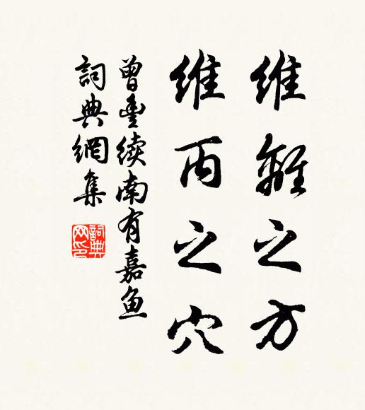 曾丰维离之方，维丙之穴书法作品欣赏