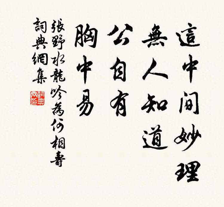 张野这中间妙理，无人知道，公自有，胸中易书法作品欣赏