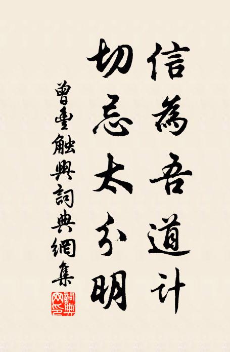 曾丰信为吾道计，切忌太分明书法作品欣赏
