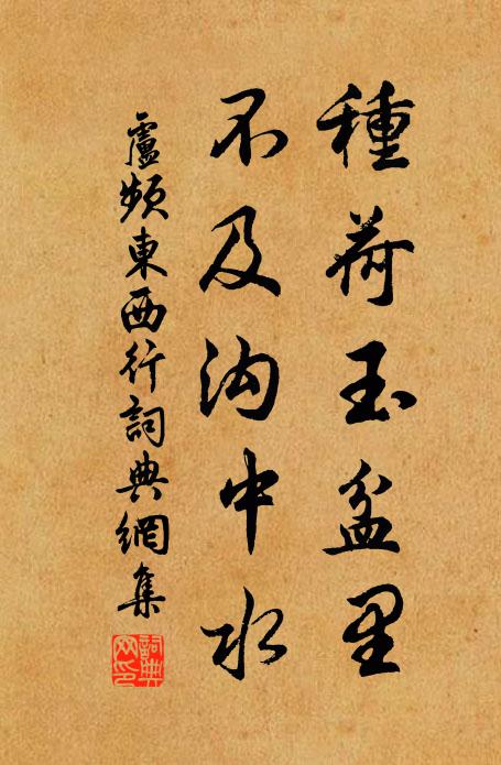 卢频种荷玉盆里，不及沟中水书法作品欣赏