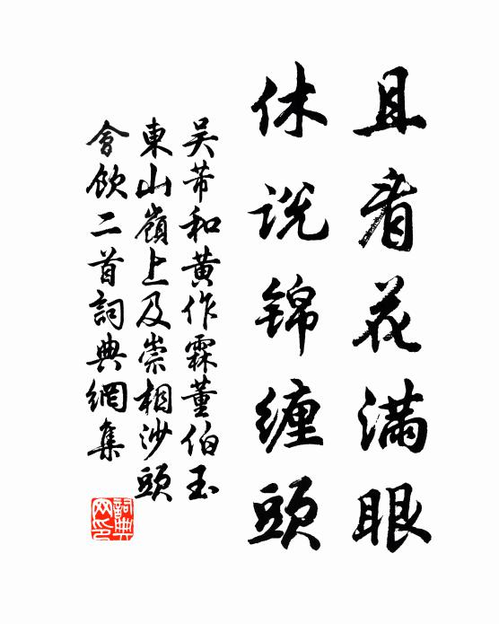 吴芾且看花满眼，休说锦缠头书法作品欣赏
