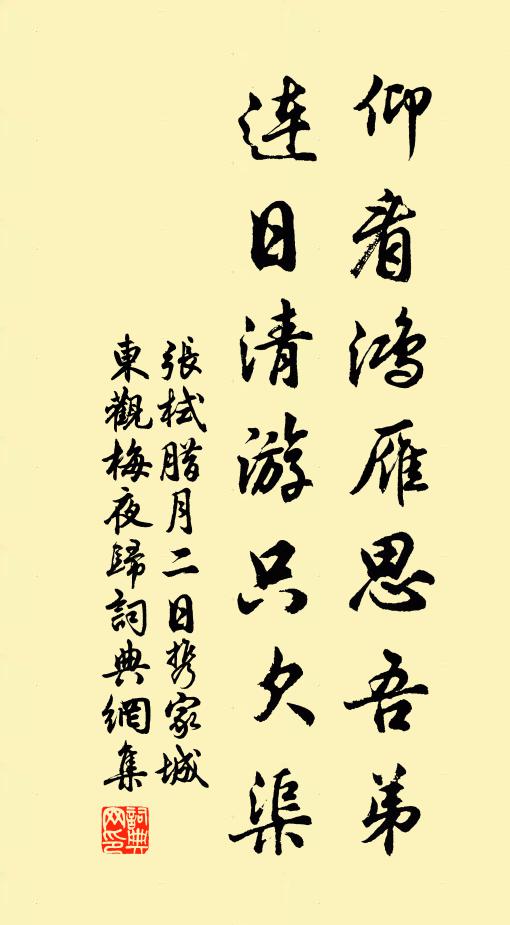 张栻仰看鸿雁思吾弟，连日清游只欠渠书法作品欣赏