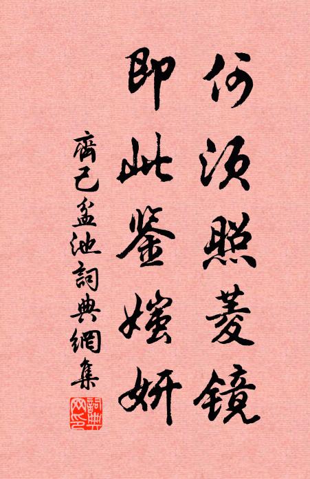 齐己何须照菱镜，即此鉴媸妍书法作品欣赏