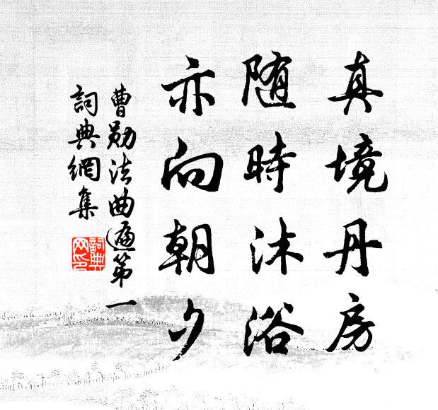 曹勋真境丹房，随时沐浴，亦向朝夕书法作品欣赏