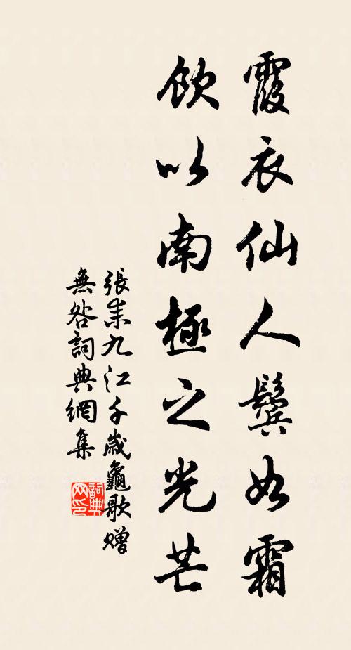 张耒霞衣仙人鬓如霜，饮以南极之光芒书法作品欣赏