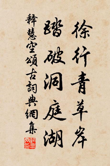 释慧空徐行青草岸，踏破洞庭湖书法作品欣赏