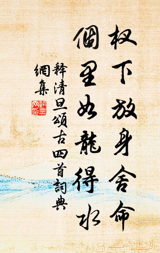 释清旦杈下放身舍命，个里如龙得水书法作品欣赏
