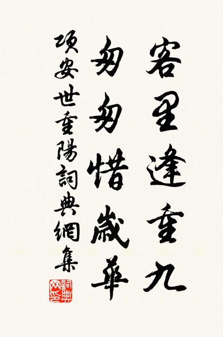 项安世客里逢重九，匆匆惜岁华书法作品欣赏