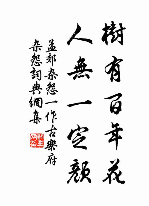 孟郊树有百年花，人无一定颜书法作品欣赏