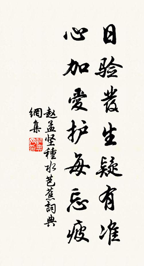 赵孟坚日验发生疑有准，心加爱护每忘疲书法作品欣赏