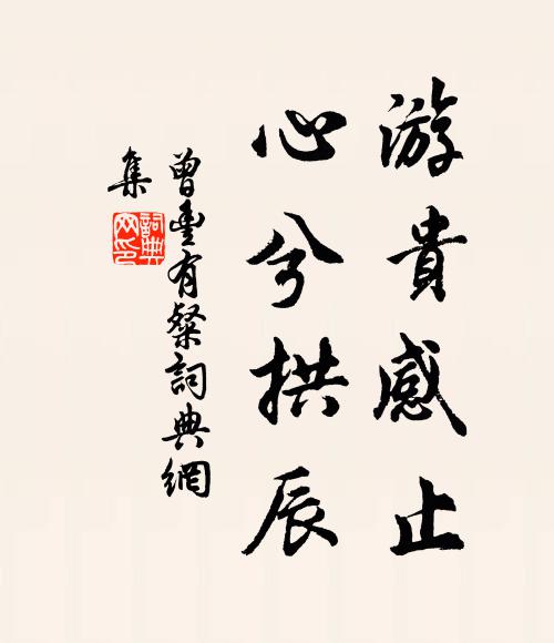曾丰游贵感止,心兮拱辰书法作品欣赏