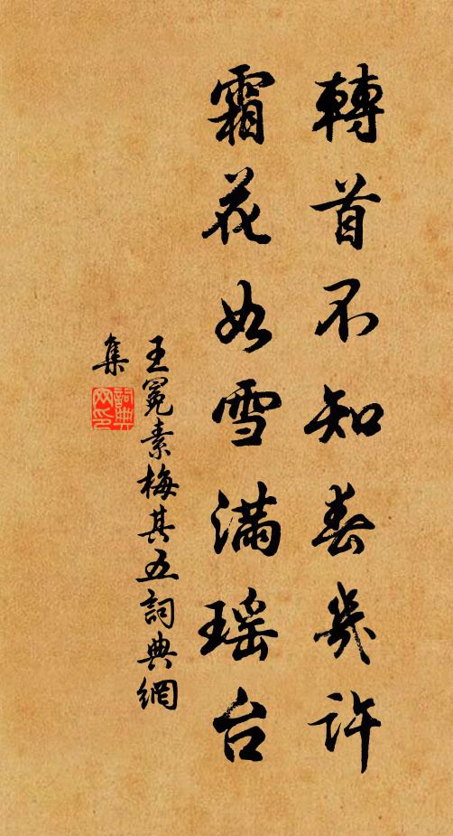 王冕转首不知春几许，霜花如雪满瑶台书法作品欣赏