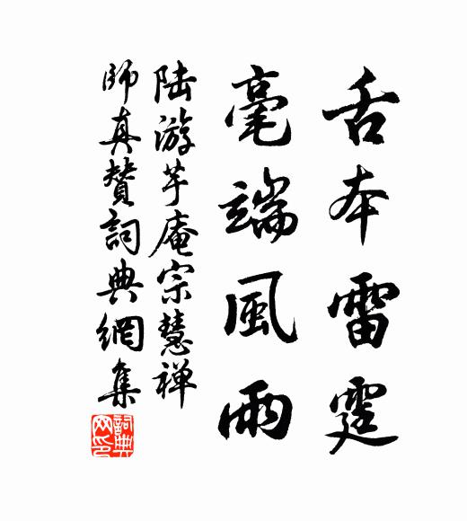 陆游舌本雷霆，毫端风雨书法作品欣赏