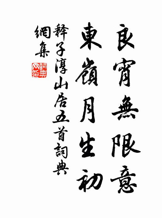 释子淳良宵无限意，东岭月生初书法作品欣赏