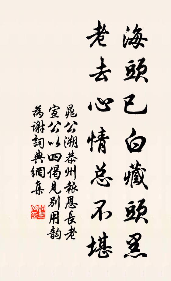 晁公溯海头已白藏头黑，老去心情总不堪书法作品欣赏