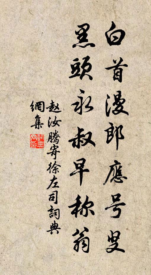 赵汝腾白首漫郎应号叟，黑头永叔早称翁书法作品欣赏