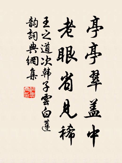 王之道亭亭翠盖中，老眼省见稀书法作品欣赏