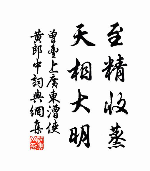 曾丰至精收蒸，天相大明书法作品欣赏
