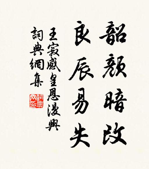 王寂韶颜暗改，良辰易失书法作品欣赏