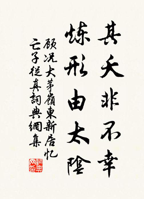 顾况其夭非不幸，炼形由太阴书法作品欣赏