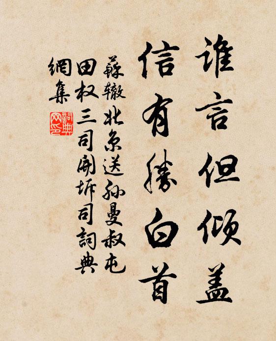 苏辙谁言但倾盖，信有胜白首书法作品欣赏
