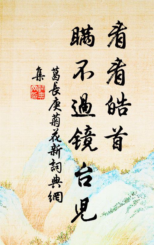 葛长庚看看皓首，瞒不过镜台儿书法作品欣赏