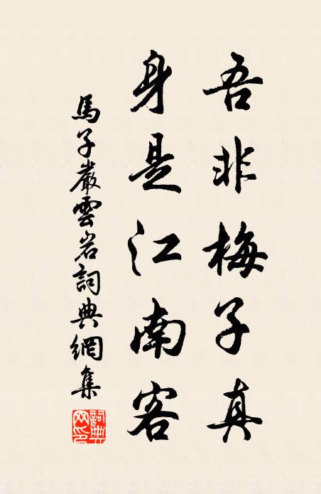 马子严吾非梅子真，身是江南客书法作品欣赏
