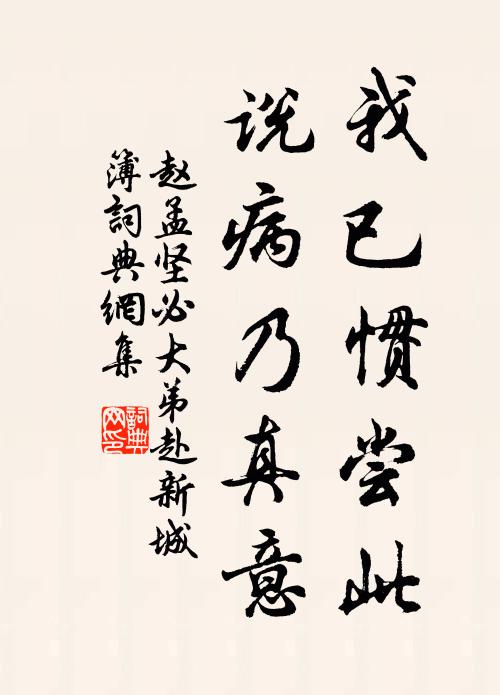 赵孟坚我已惯尝此，说病乃真意书法作品欣赏