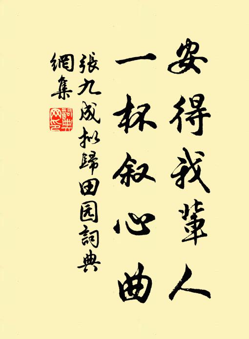 张九成安得我辈人，一杯叙心曲书法作品欣赏