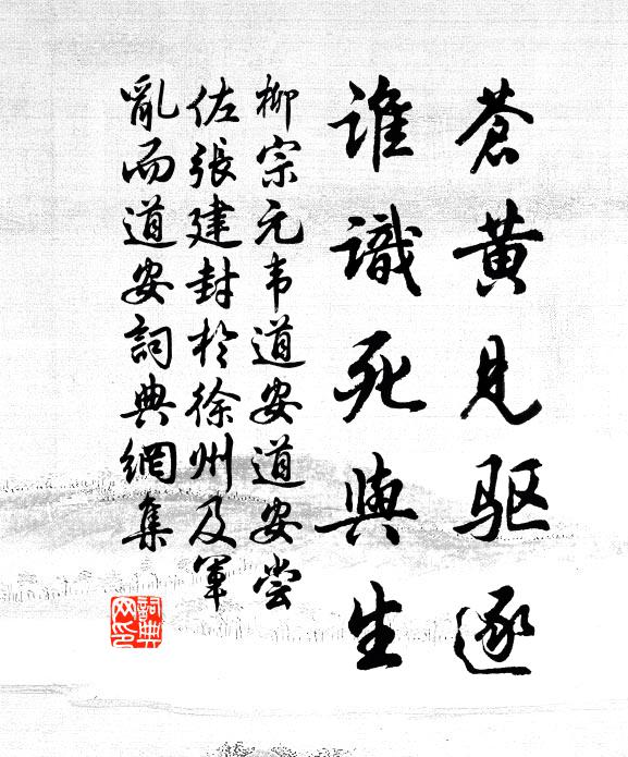 柳宗元苍黄见驱逐,谁识死与生书法作品欣赏