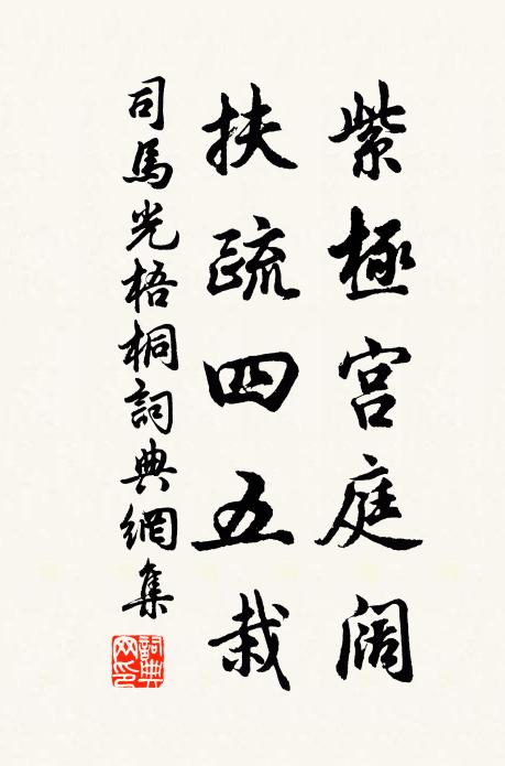 司马光紫极宫庭阔，扶疏四五栽书法作品欣赏