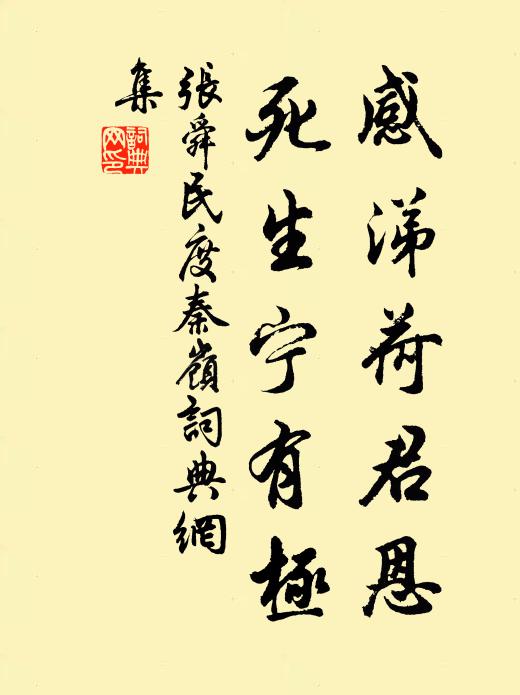 张舜民感涕荷君恩，死生宁有极书法作品欣赏