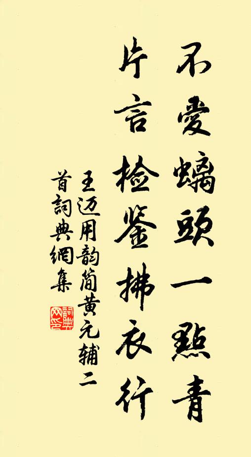 王迈不爱螭头一点青，片言检鉴拂衣行书法作品欣赏