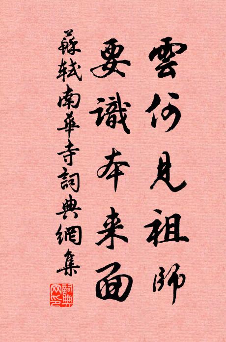 苏轼云何见祖师，要识本来面书法作品欣赏