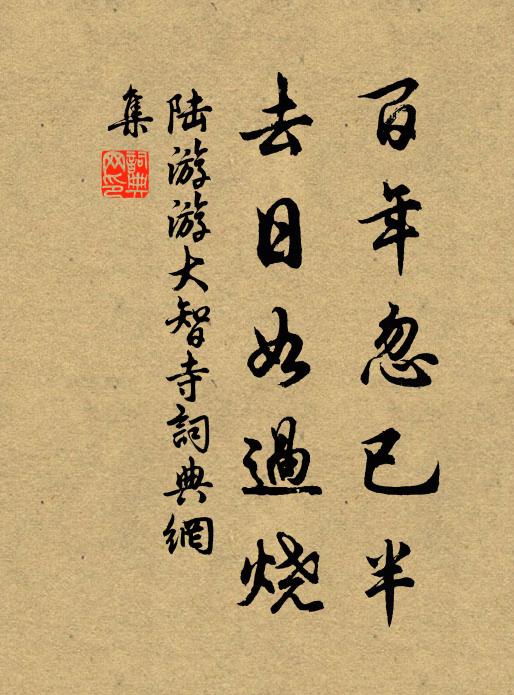 陆游百年忽已半，去日如过烧书法作品欣赏